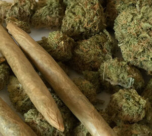 cannabis