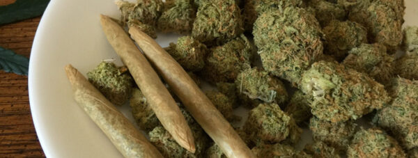 cannabis